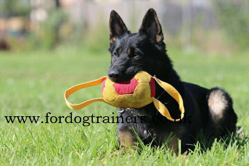 Soccer Ball with Handles Dog Toy